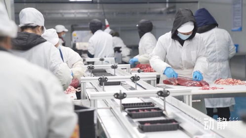 牛肉市場(chǎng)波動(dòng)下，安順肉牛產(chǎn)業(yè)與餐飲服務(wù)的穩(wěn)健發(fā)展之道