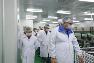 快樂購游大漠紅景區 枸杞田里拍大片 餐飲服務體驗全攻略